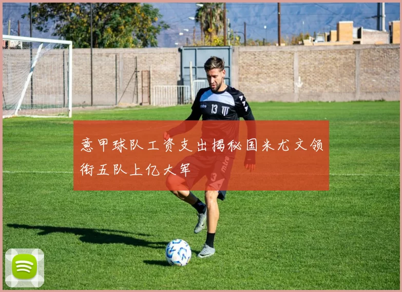 意甲球队工资支出揭秘国米尤文领衔五队上亿大军